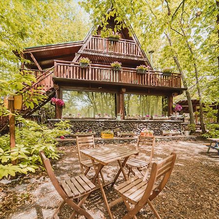 Matilde'S Chalet Etna Nature House 尼科洛西 外观 照片