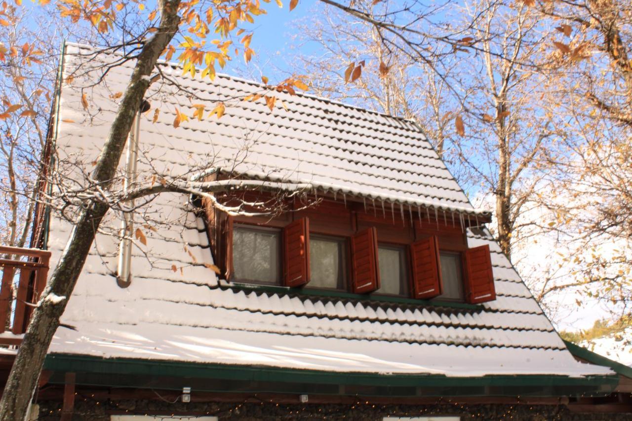 Matilde'S Chalet Etna Nature House 尼科洛西 外观 照片