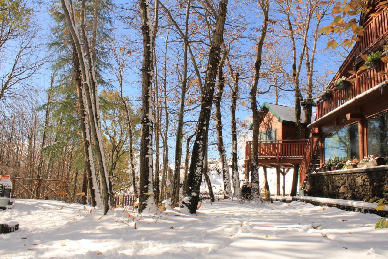 Matilde'S Chalet Etna Nature House 尼科洛西 外观 照片