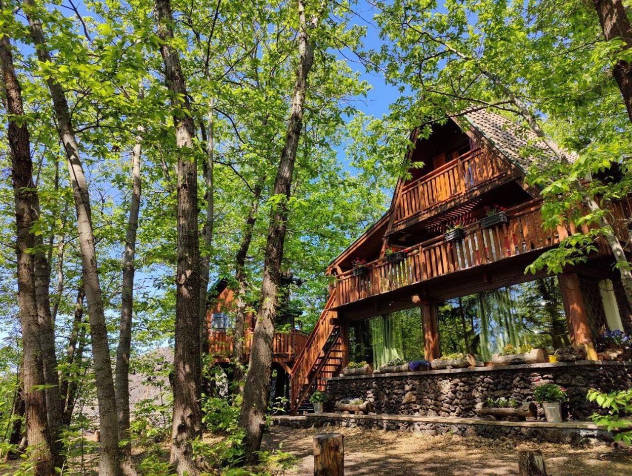 Matilde'S Chalet Etna Nature House 尼科洛西 外观 照片