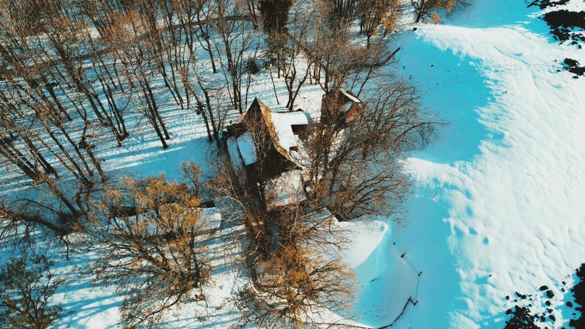 Matilde'S Chalet Etna Nature House 尼科洛西 外观 照片