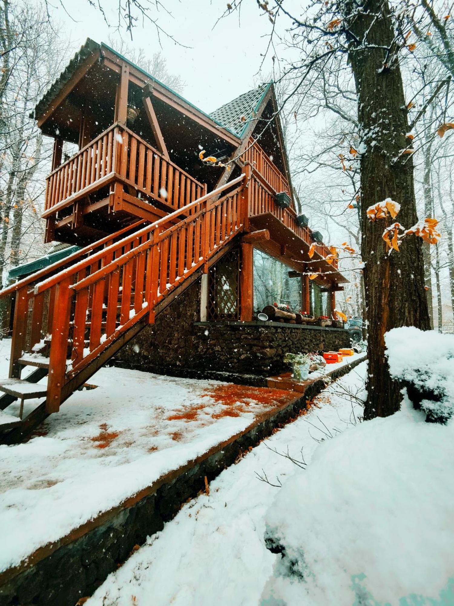 Matilde'S Chalet Etna Nature House 尼科洛西 外观 照片