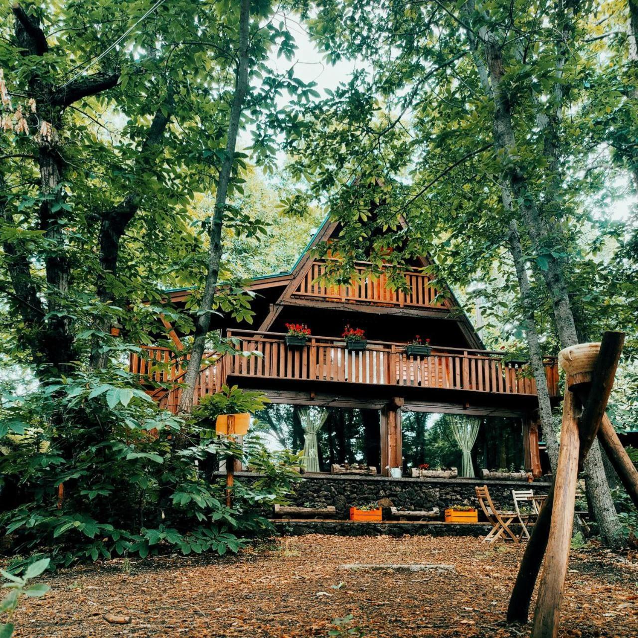 Matilde'S Chalet Etna Nature House 尼科洛西 外观 照片