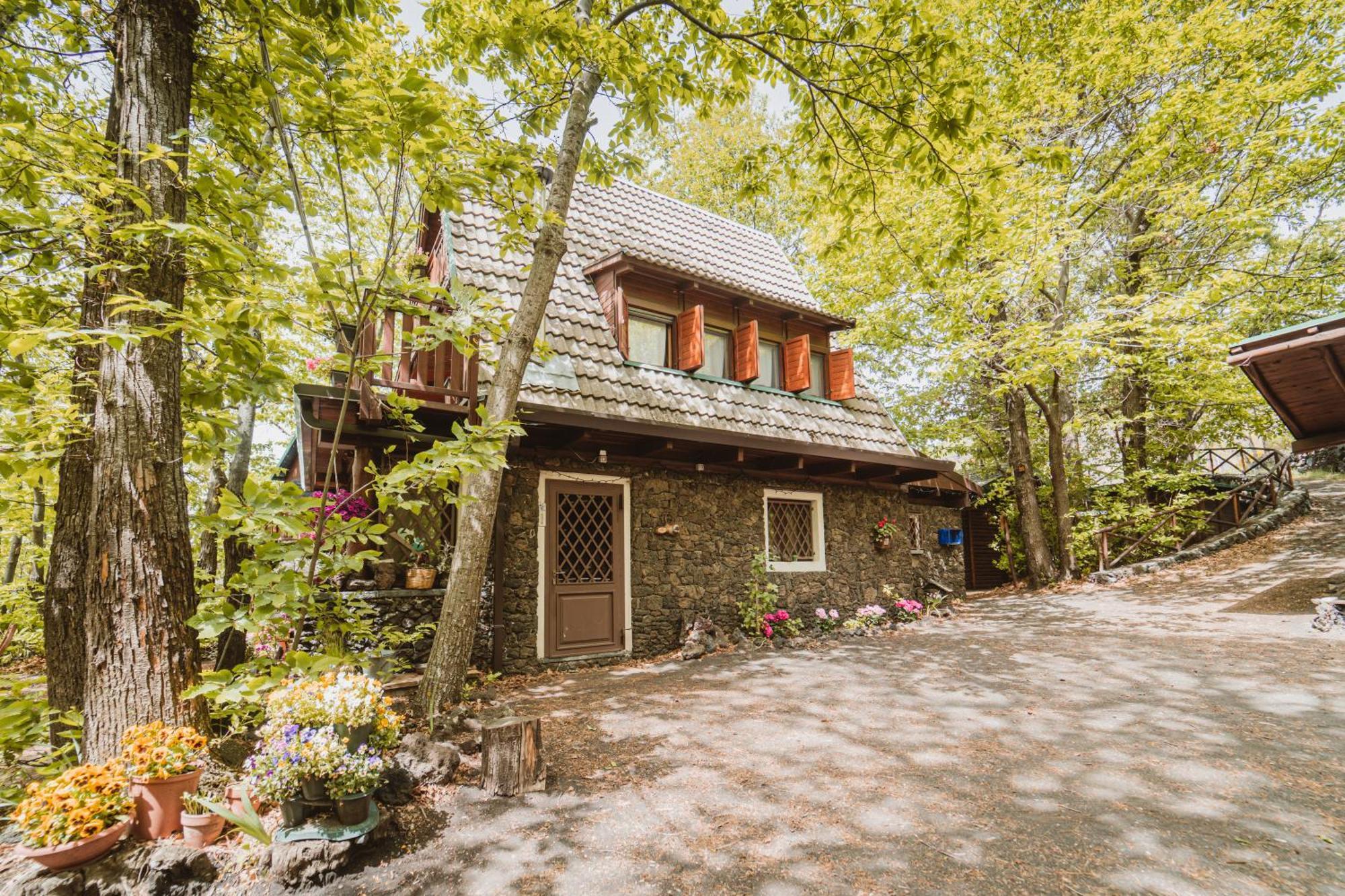 Matilde'S Chalet Etna Nature House 尼科洛西 外观 照片