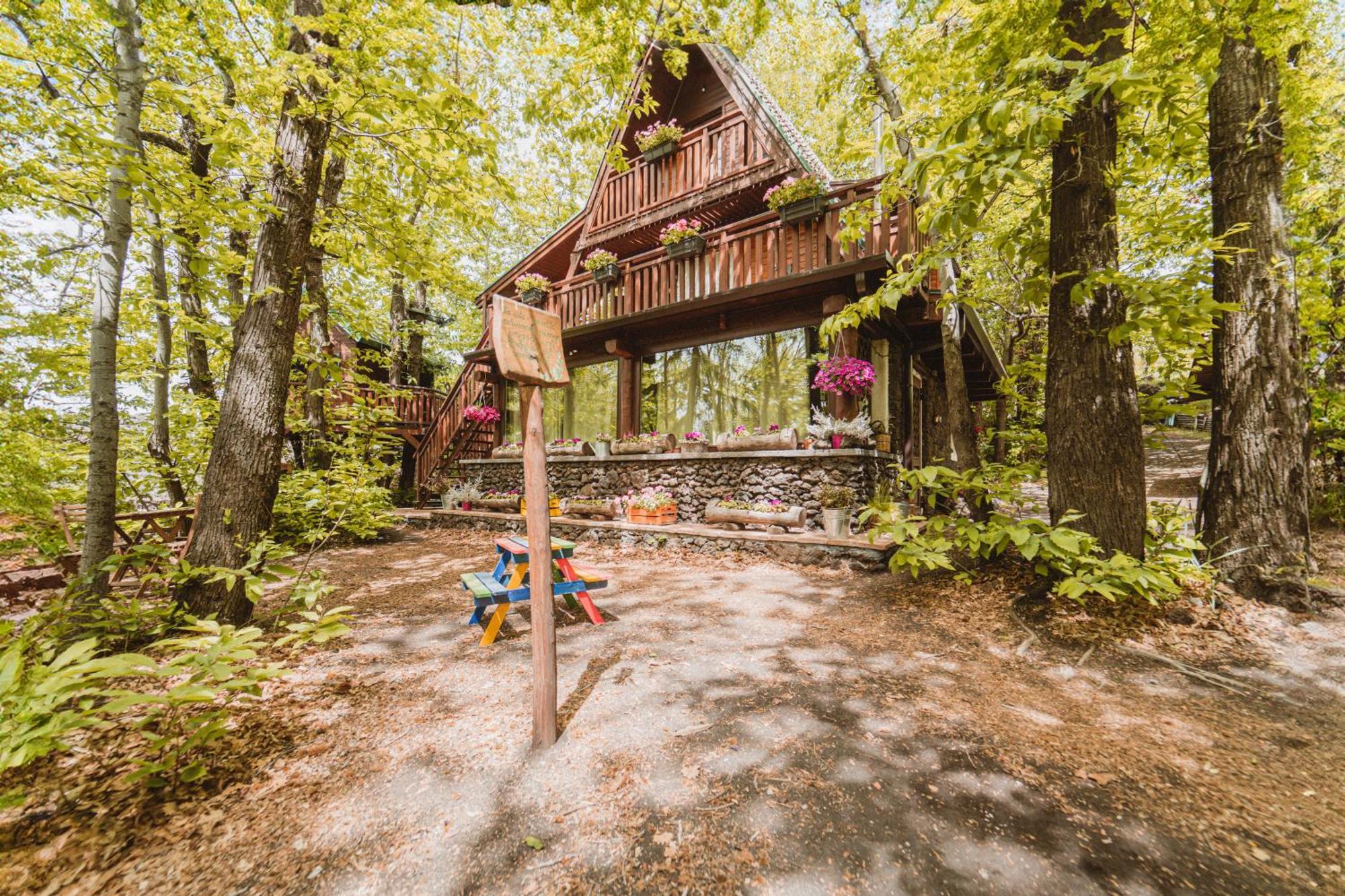 Matilde'S Chalet Etna Nature House 尼科洛西 外观 照片